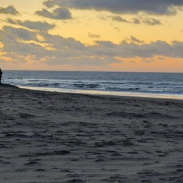 De zee in woord en beeld