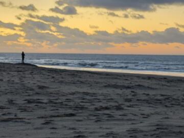 De zee in woord en beeld