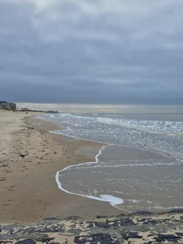De zee in woord en beeld c Griet Dehamers 2