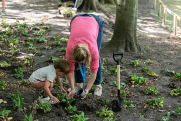TAZ25 Wonderwaai Ilse Philips 20250805 50