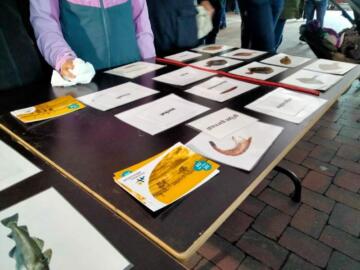 Vispuzzel HORZION EDUCATIEF minipx lilith ryckaert
